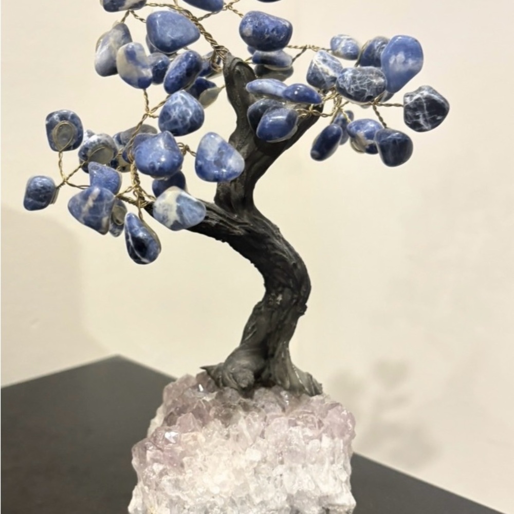 Sodalite Bonsai/Amethyst Base FREE SHIPPING 5 1/2” wide x 9 1/2” tall. See more